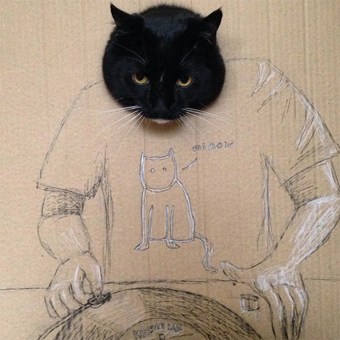 Brincadeira na internet dá aos gatos corpo fictício desenhado em papelão (20 fotos) 15
