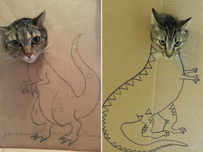 Brincadeira na internet dá aos gatos corpo fictício desenhado em papelão (20 fotos) 17