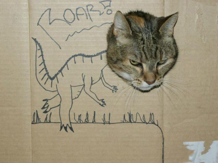 Brincadeira na internet dá aos gatos corpo fictício desenhado em papelão (20 fotos) 19