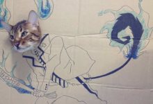 Brincadeira na internet dá aos gatos corpo fictício desenhado em papelão (20 fotos) 33