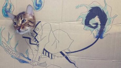 Brincadeira na internet dá aos gatos corpo fictício desenhado em papelão (20 fotos) 32