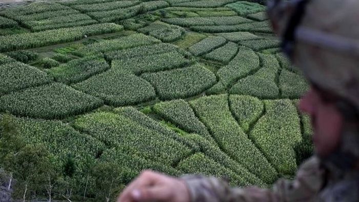 20 labirintos deslumbrantes pelo mundo 18