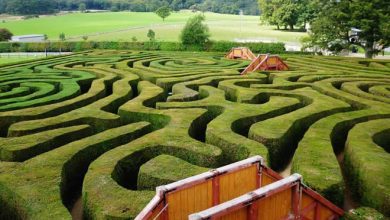20 labirintos deslumbrantes pelo mundo 13