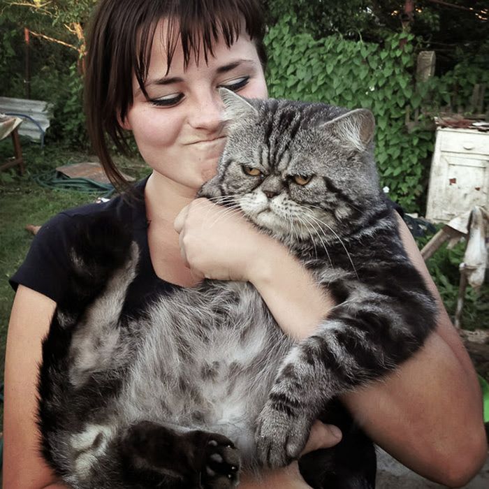 Gatos que odeiam estar em selfies com seus humanos (21 fotos) 2
