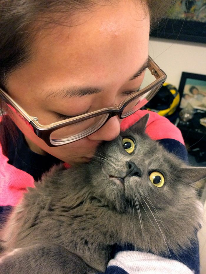 Gatos que odeiam estar em selfies com seus humanos (21 fotos) 4