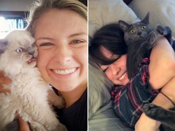 Gatos que odeiam estar em selfies com seus humanos (21 fotos) 8