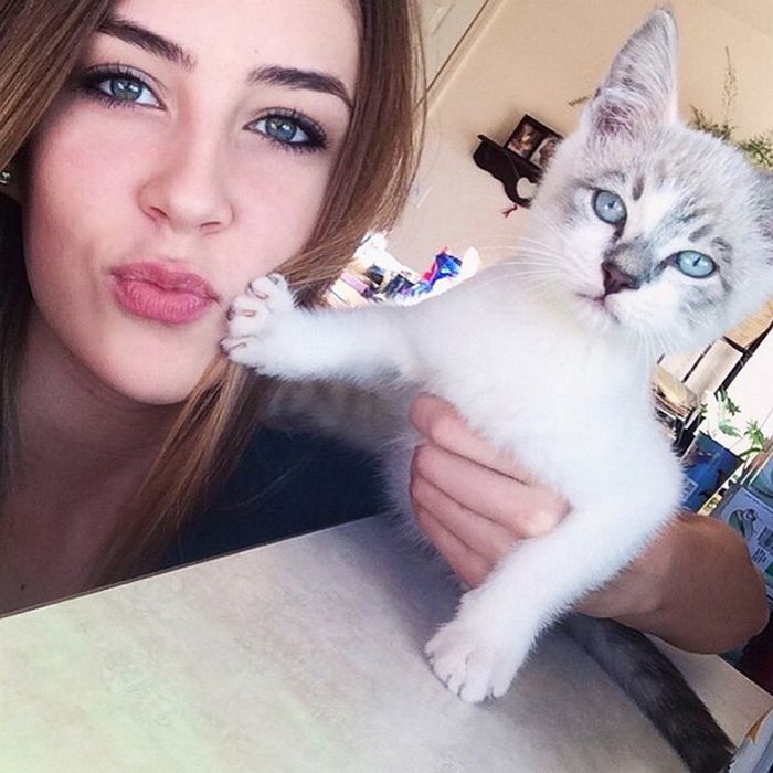 Gatos que odeiam estar em selfies com seus humanos (21 fotos) 12
