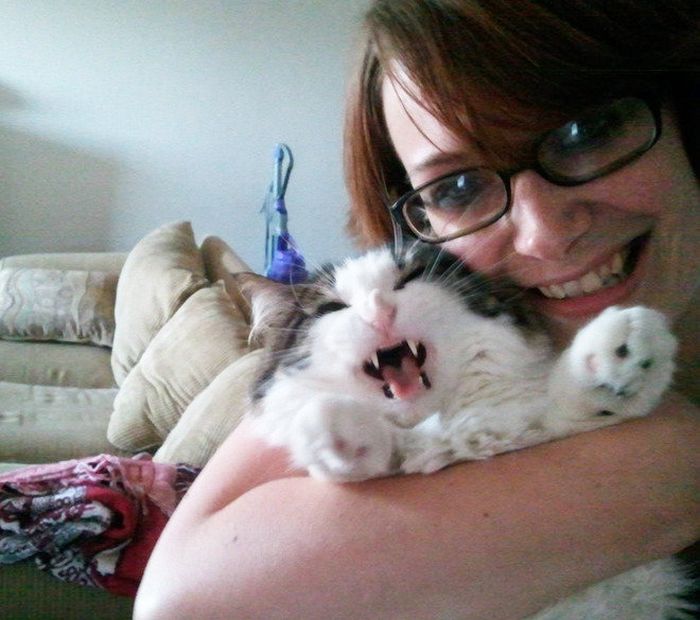 Gatos que odeiam estar em selfies com seus humanos (21 fotos) 15