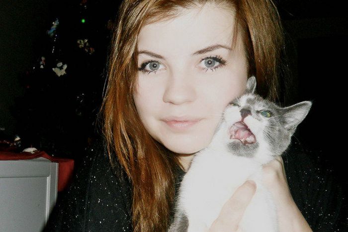 Gatos que odeiam estar em selfies com seus humanos (21 fotos) 16