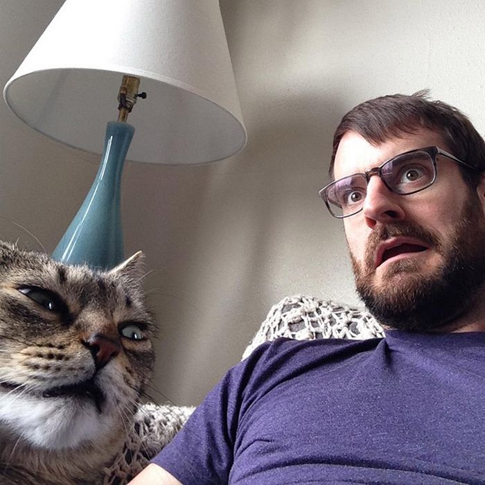 Gatos que odeiam estar em selfies com seus humanos (21 fotos) 19