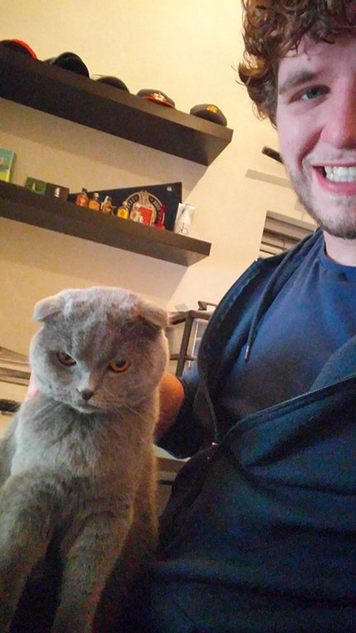 Gatos que odeiam estar em selfies com seus humanos (21 fotos) 20
