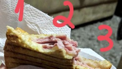 Como você morde um sanduíche oferecido por outra pessoa? 43