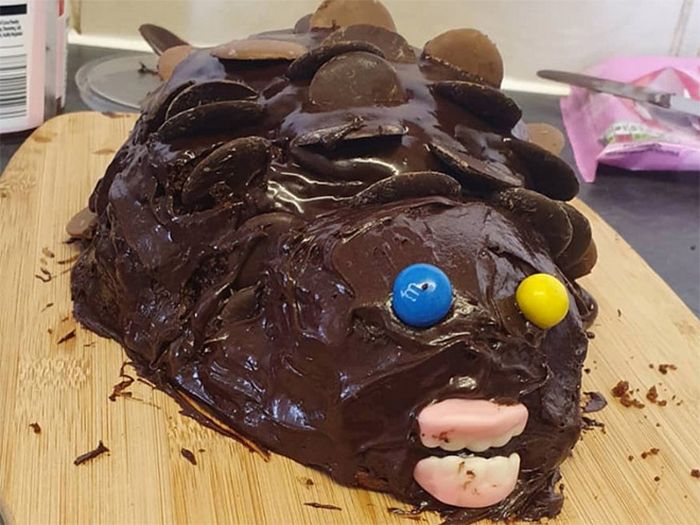 21 piores bolo de ouriço que você pode imaginar 17