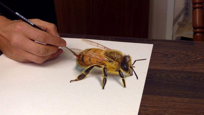 Artista alemão cria desenhos 3D incríveis em papel (30 fotos) 21