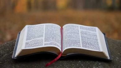 83 curiosidades sobre a bíblia