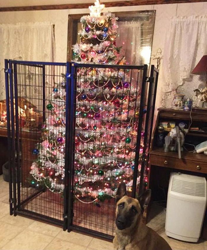 21 dicas genias de como proteger sua árvore de Natal dos animais de estimação 9