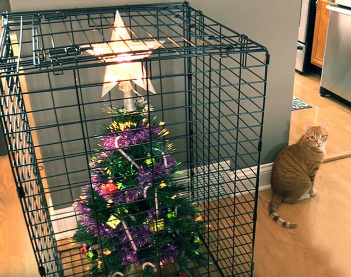 21 dicas genias de como proteger sua árvore de Natal dos animais de estimação 12