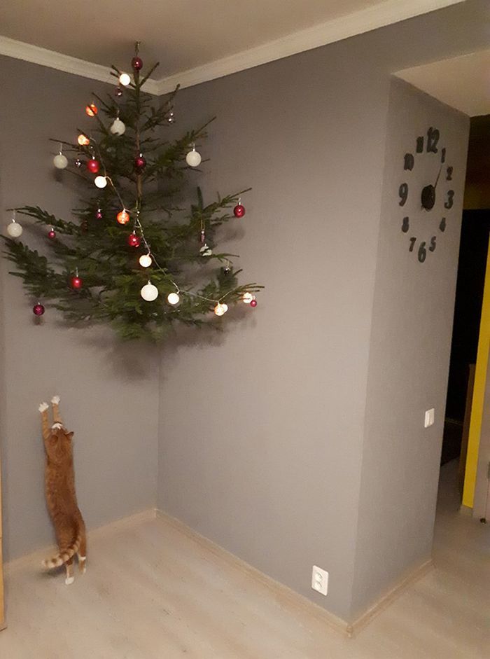 21 dicas genias de como proteger sua árvore de Natal dos animais de estimação 16