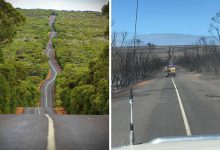 21 Antes e depois, fotos da Austrália mostram quanto dano os incêndios já causaram 8