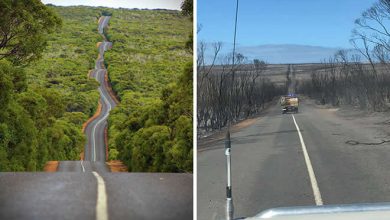 21 Antes e depois, fotos da Austrália mostram quanto dano os incêndios já causaram 41