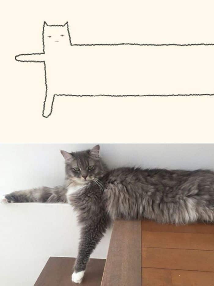21 desenhos de gato realmente precisos 4