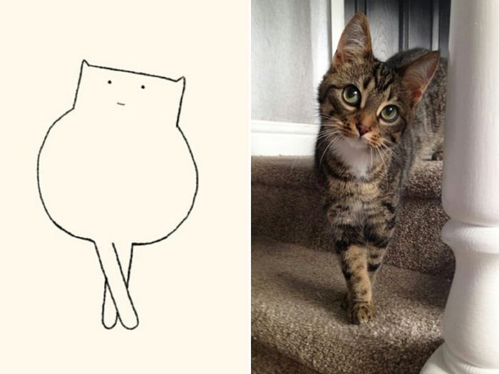 21 desenhos de gato realmente precisos 7