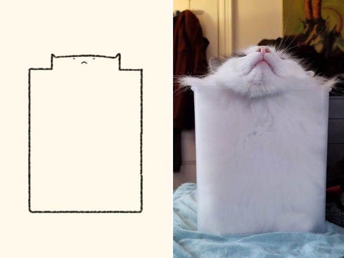 21 desenhos de gato realmente precisos 8
