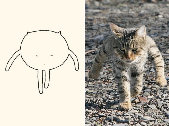 21 desenhos de gato realmente precisos 9