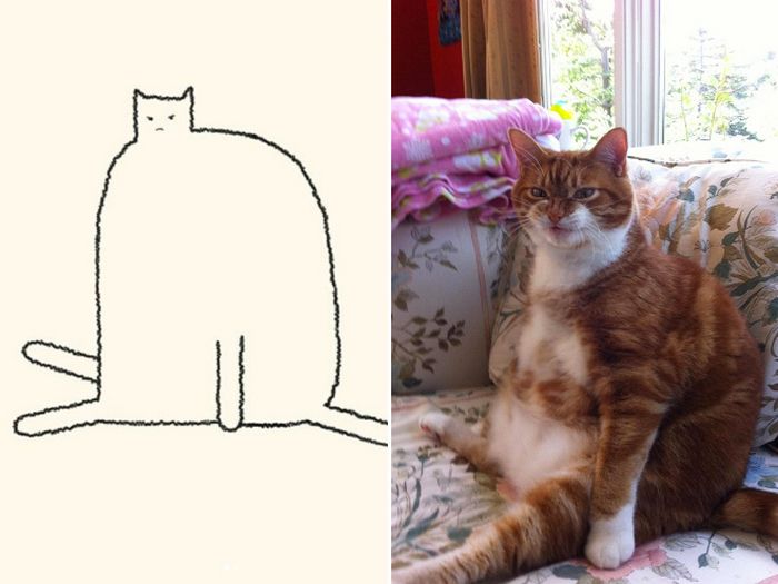 21 desenhos de gato realmente precisos 11