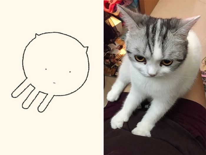 21 desenhos de gato realmente precisos 13