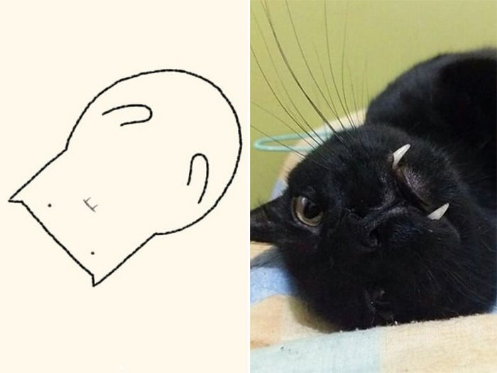 21 desenhos de gato realmente precisos 14