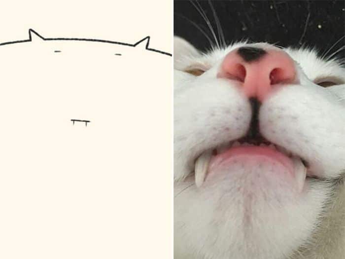 21 desenhos de gato realmente precisos 15