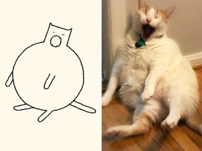 21 desenhos de gato realmente precisos 16