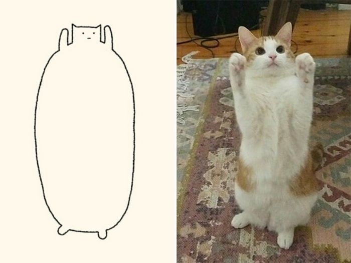 21 desenhos de gato realmente precisos 17