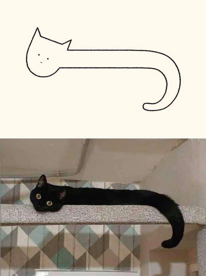 21 desenhos de gato realmente precisos 19