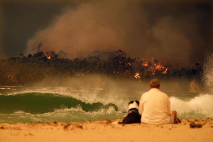 36 imagens que mostram os horrores dos incêndios na Austrália 2