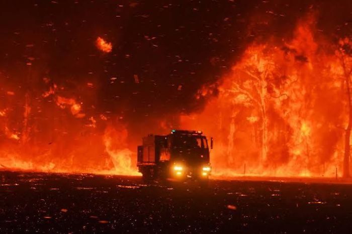36 imagens que mostram os horrores dos incêndios na Austrália 9