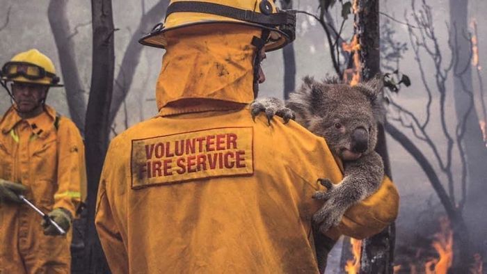 36 imagens que mostram os horrores dos incêndios na Austrália 12