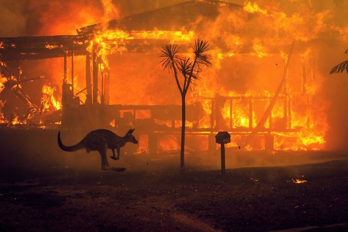 36 imagens que mostram os horrores dos incêndios na Austrália 23