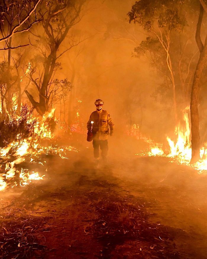 36 imagens que mostram os horrores dos incêndios na Austrália 25