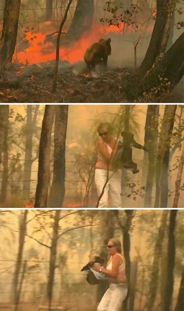 36 imagens que mostram os horrores dos incêndios na Austrália 32