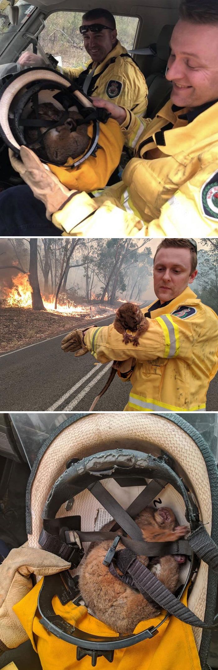 36 imagens que mostram os horrores dos incêndios na Austrália 33