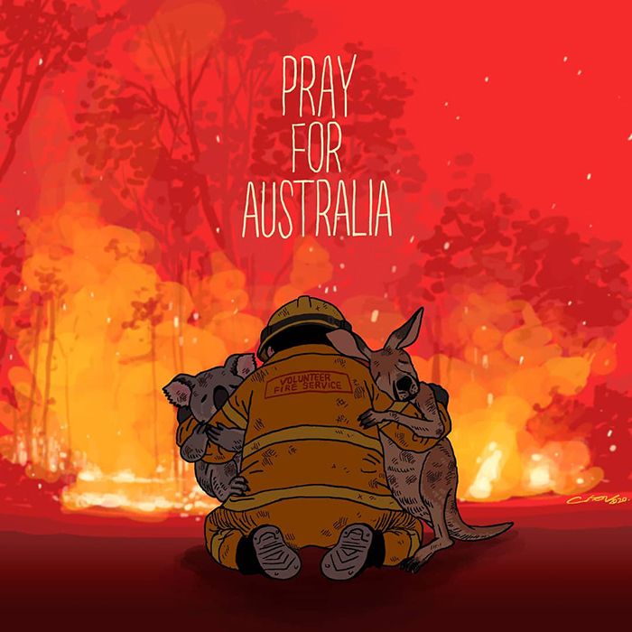 Pessoas de todo o mundo estão compartilhando arte de tributo aos incêndios florestais australianos (30 fotos) 23