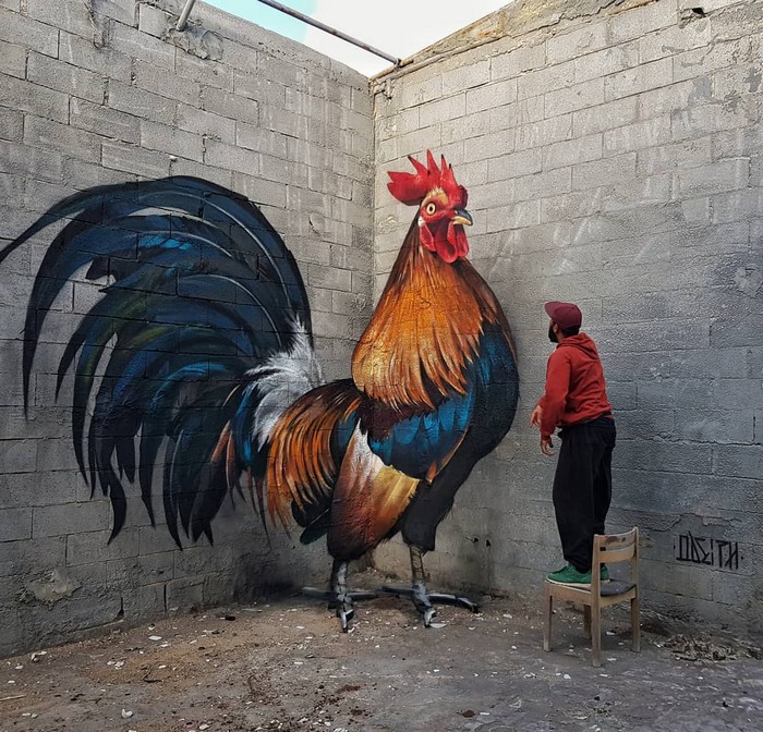 21 fotos de magníficas obras de arte de rua que mereciam ser fotografadas 11