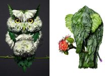 37 retratos delicados de animais criados a partir de coisas encontradas na natureza por Raku Inoue 28