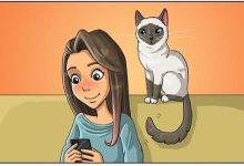 Artista ilustra a vida cotidiana com um gato nesses 31 quadrinhos 7