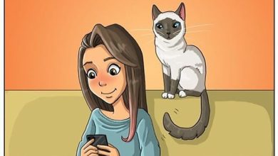Artista ilustra a vida cotidiana com um gato nesses 31 quadrinhos 31