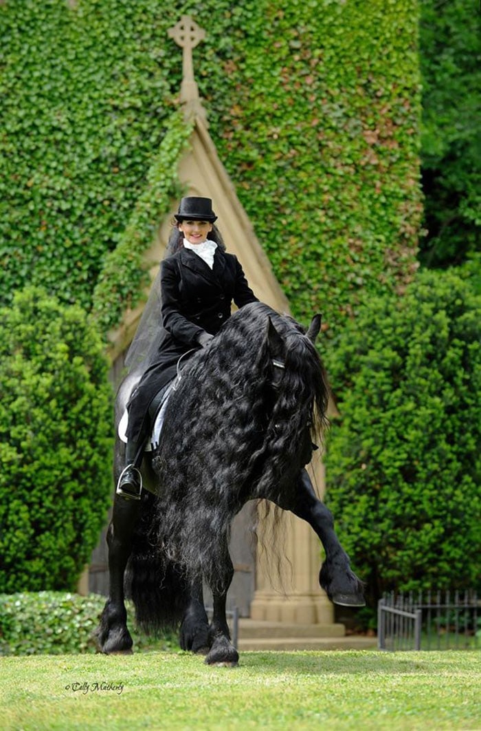 Conheça Frederick, o cavalo mais bonito do mundo (30 fotos) 22
