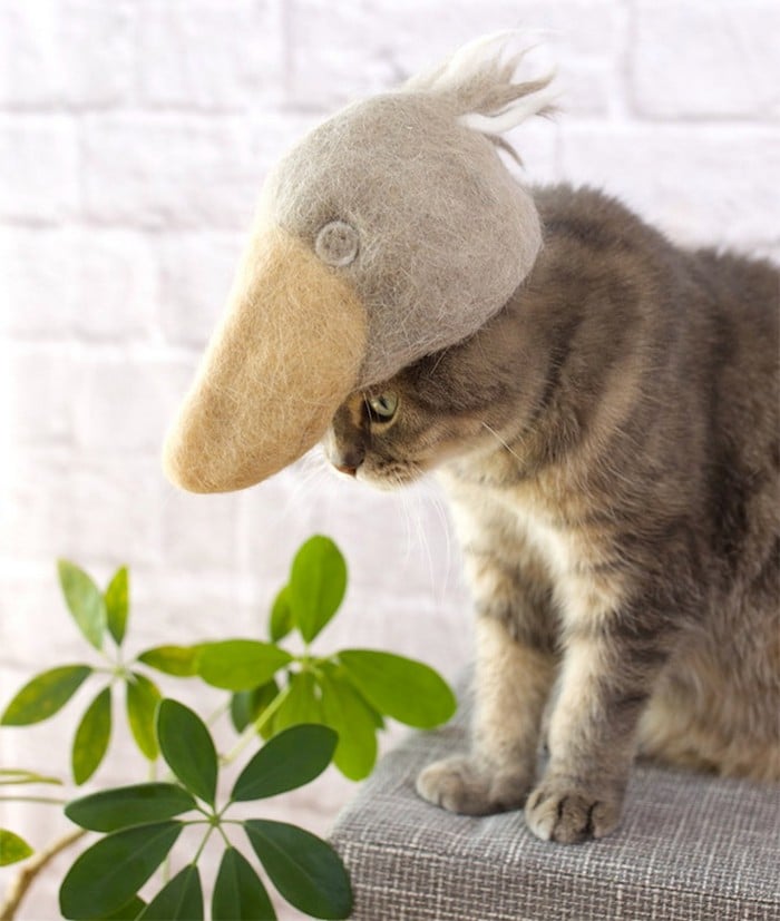 21 gatos usando chapéus feitos com seus próprios pelos 8