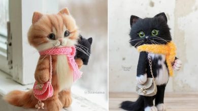 Artista russa cria gatinhos de feltro que parecem ter saído de um conto fada (32 fotos) 15